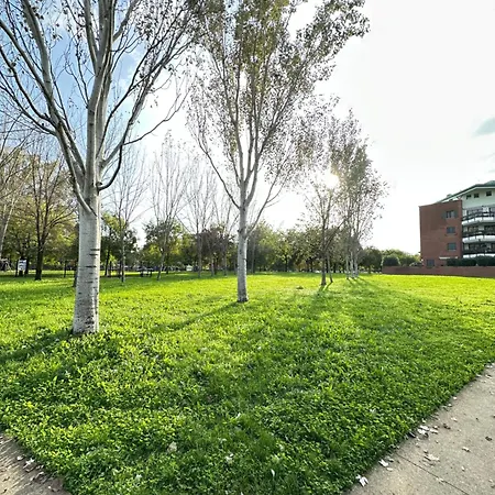 Sanraffaele 117 - Ospedale & Metro Milano - Intero Vimodrone
